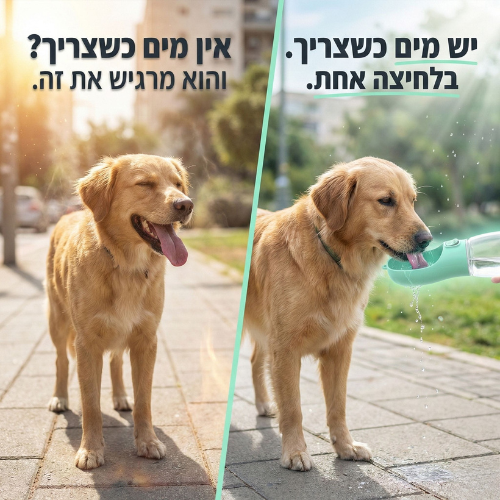 בקבוק מים נייד לכלבים